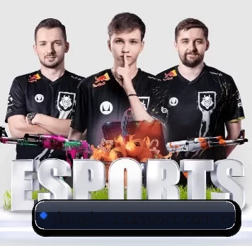 denglu-333sport.com.cn APP 界面